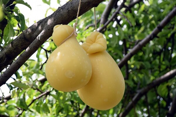 Качокавалло