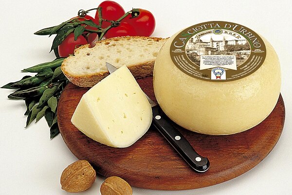 Качотта ди урбино