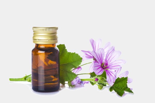 Экстракт мальвы