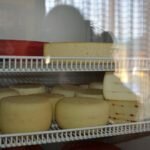 Назначение климатической камеры для созревания сыра и её изготовление